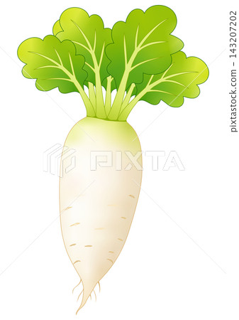 Simple "radish" Simple "radish" 143207202