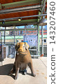 Rachel the Piggy Bank Statue at Pike Place Market Seattle 143207460