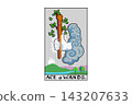 Ace of wands 143207633