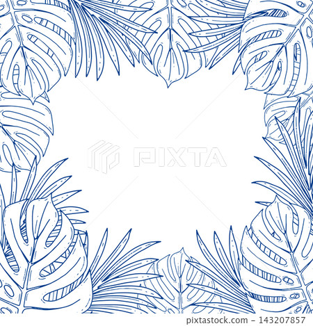 Tropical Monstera Palm Border 143207857