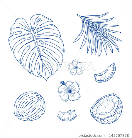 Tropical Beach Elements Blue Line Art Collection 143207868