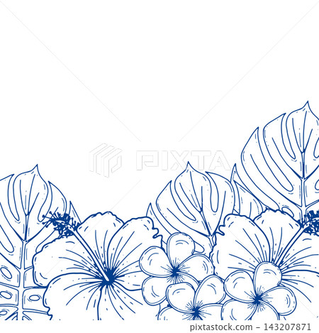 Tropical Hibiscus Monstera Border Tropical Hibiscus Monstera Border 143207871