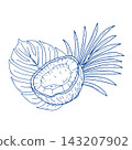 Coconut with Tropical Leaves 143207902