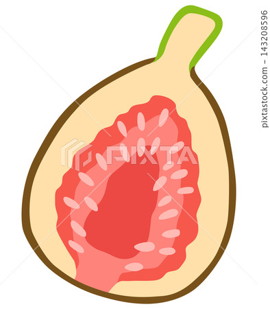 Simple and cute fig illustration vector material Simple and cute fig illustration vector material 143208596