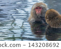 Snow Monkeys ~ Jigokudani Monkey Park ~ (Yamanouchi Town, Nagano Prefecture) 143208692