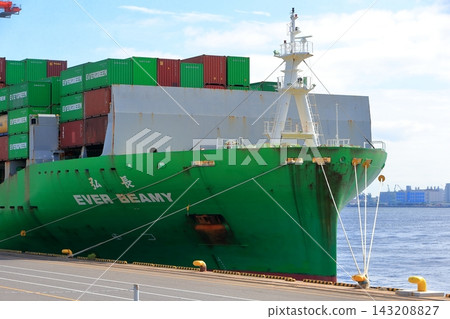 A container ship moored at Aomi Container Terminal. 143208827