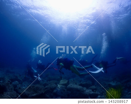 Diving in Rebun Island 143208917