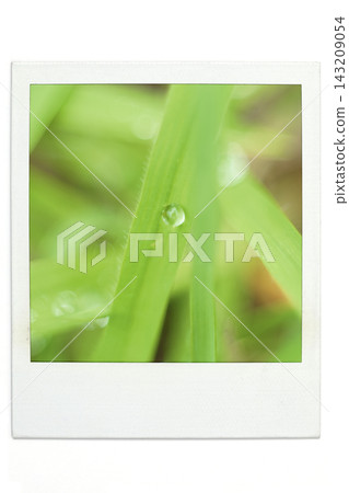 草與水滴,寶麗來風格 草與水滴,寶麗來風格 143209054