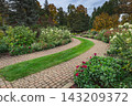 Curved Brick Garden Path in Autumn 143209372