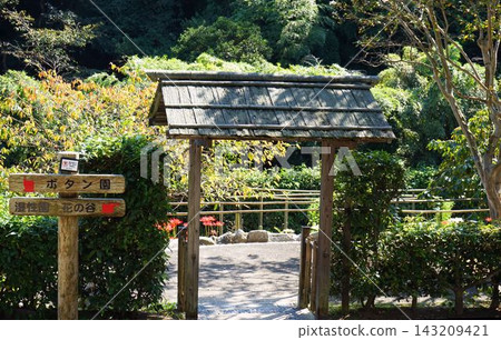 花園大門沐浴在斑駁的陽光中 花園大門沐浴在斑駁的陽光中 143209421