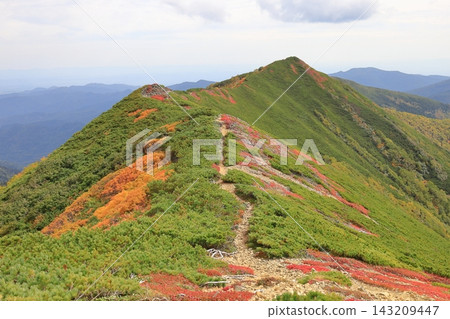 View of the autumn foliage along the mountain trail from the ridgeline leading to Nukabira Fuji in the mountains of Hokkaido, specifically Higashi-Taisetsu. View of the autumn foliage along the mountain trail from the ridgeline leading to Nukabira Fuji in the mountains of Hokkaido, specifically Higashi-Taisetsu. 143209447