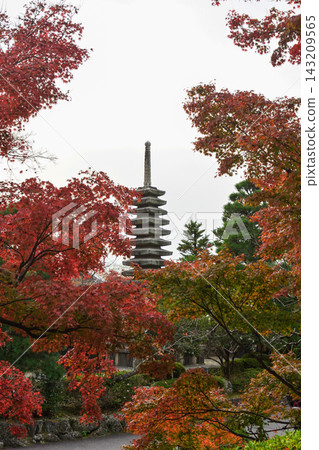 Kiyomizudera寺 Kiyomizudera寺 143209565