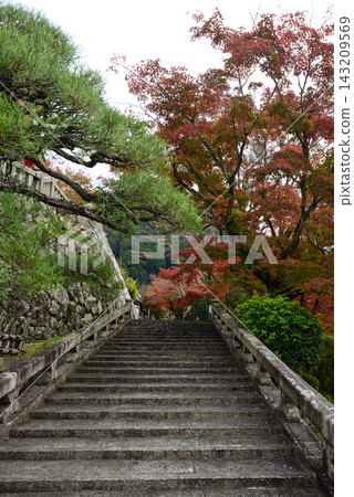 Kiyomizudera寺 143209569