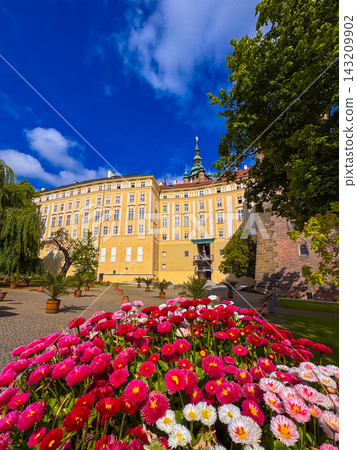 Prague Castle historic buildings from the Gardens, framed by bright red flowers Prague Castle historic buildings from the Gardens, framed by bright red flowers 143209902