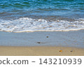 Amanohashidate: A beautiful sea with white sand and green pine trees (Miyazu City, Kyoto Prefecture) 143210939
