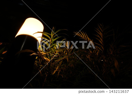 夜晚，樹籬亮了起來。 143211637
