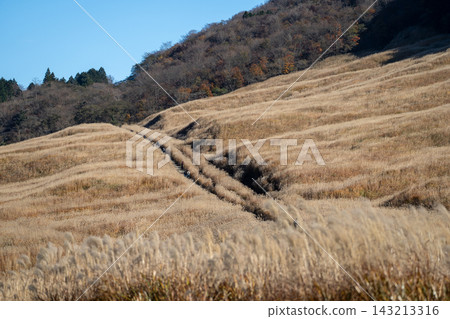 Hakone Sengokuhara Susukino Meadow Hakone Sengokuhara Susukino Meadow 143213316