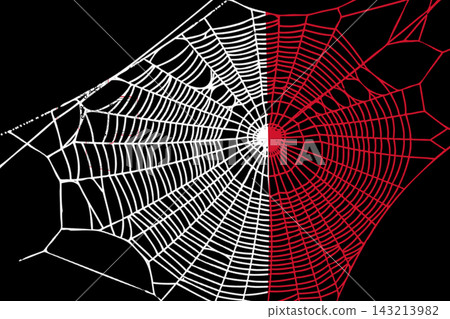 3D Flag on spider web 143213982