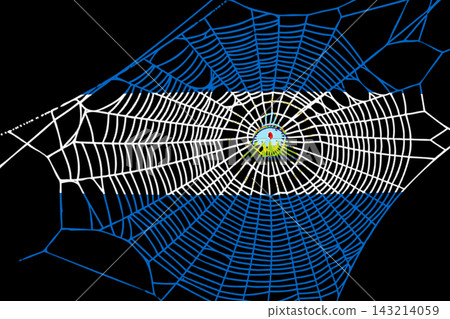 3D Flag on spider web 3D Flag on spider web 143214059