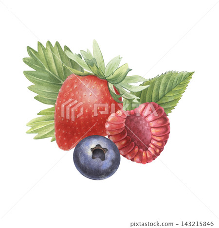Strawberry, raspberry, blueberry, leaves. Hand-painted watercolor illustration isolated on white for food packaging, dessert, branding, label, logo, recipe, cookbook, jam, beverages, cosmetic, design Strawberry, raspberry, blueberry, leaves. Hand-painted watercolor illustration isolated on white for food packaging, dessert, branding, label, logo, recipe, cookbook, jam, beverages, cosmetic, design 143215846
