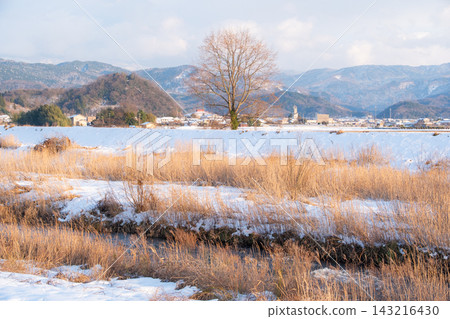 鳥取縣鳥取市甲府町袋川沿岸的冬季景色 鳥取縣鳥取市甲府町袋川沿岸的冬季景色 143216430