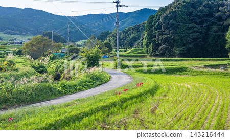 滋賀縣大津市片田的鄉村景觀 143216444
