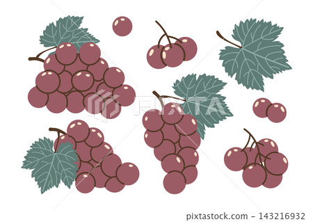 Purple Grapes and Leaves Elements Set. Simple Flat Illustration. Fruit collection design for poster, banner. Purple Grapes and Leaves Elements Set. Simple Flat Illustration. Fruit collection design for poster, banner. 143216932
