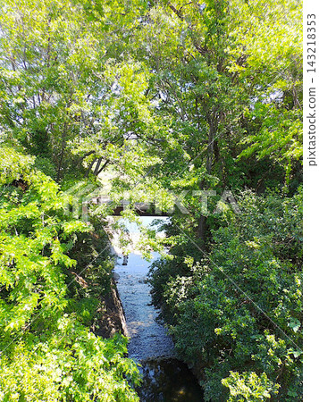 瀧川水渠,石倉城外護城河遺址 瀧川水渠,石倉城外護城河遺址 143218353
