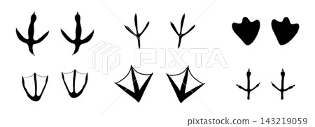 Bird foot mark print silhouette set. Bird trail goose duck foot. Authentic bird track silhouettes collection. Raven owl parrot turkey feet, hen or chicken stamp path black outline style Bird foot mark print silhouette set. Bird trail goose duck foot. Authentic bird track silhouettes collection. Raven owl parrot turkey feet, hen or chicken stamp path black outline style 143219059
