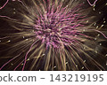 Light traces of fireworks 143219195
