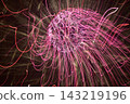 Light traces of fireworks 143219196