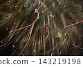 Light traces of fireworks 143219198