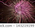 Light traces of fireworks 143219199
