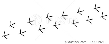 Bird foot mark print silhouette. Bird trail foot. Authentic bird track silhouettes collection. Raven owl parrot turkey feet, hen or chicken stamp path black outline style  143219219