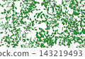 Freshness.Painted textured green leaves on white 143219493
