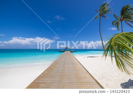 Wooden jetty leading tropical island lush palms vivid turquoise Maldives lagoon blue sky bright. Scenic travel wanderlust vista. Exotic explore dream journey Wooden jetty leading tropical island lush palms vivid turquoise Maldives lagoon blue sky bright. Scenic travel wanderlust vista. Exotic explore dream journey 143220423