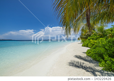 Calm vivid turquoise tropical lagoon powdery shore blue sky soft clouds minimal wide horizon. Minimal design copy space. Clean layout banner template Calm vivid turquoise tropical lagoon powdery shore blue sky soft clouds minimal wide horizon. Minimal design copy space. Clean layout banner template 143220426
