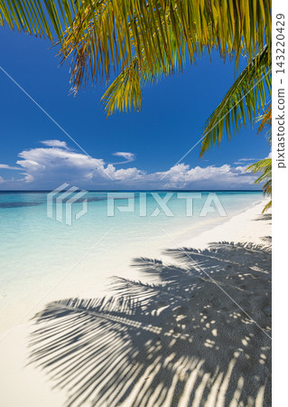 Coconut palms leaning powdery white shore vivid turquoise lagoon blue sky bright tropical island shade. Family beach holiday summer fun. Sunny carefree seaside memories Coconut palms leaning powdery white shore vivid turquoise lagoon blue sky bright tropical island shade. Family beach holiday summer fun. Sunny carefree seaside memories 143220429