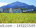A sustainable vehicle speeds through the Chichibu region in early autumn, with Mount Bukō and golden rice fields shining brightly. 143221549