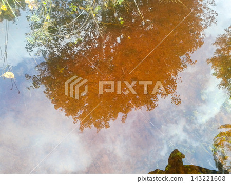 Autumn foliage reflects across still pond water. A copper tree canopy appears as a vivid mirrored pattern. Seasonal change and quiet nature appreciation define the scene in reflection. Autumn foliage reflects across still pond water. A copper tree canopy appears as a vivid mirrored pattern. Seasonal change and quiet nature appreciation define the scene in reflection. 143221608