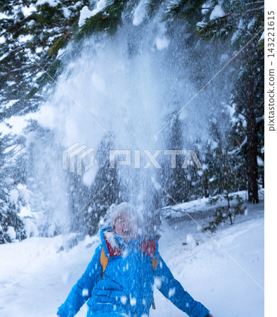 happy woman in a blue winter jacket shakes a snow-covered pine tree as snow falls over him. He smiles under a knitted hat in a snowy forest. Winter fun and outdoor play 143221615