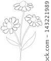 Minimalist Botanical Wildflower Line Art 143221989