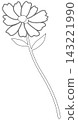 Minimalist Botanical Wildflower Line Art 143221990