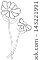 Minimalist Botanical Wildflower Line Art 143221991