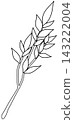 Minimalist Botanical Wildflower Line Art 143222004