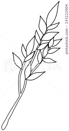 Minimalist Botanical Wildflower Line Art Minimalist Botanical Wildflower Line Art 143222004