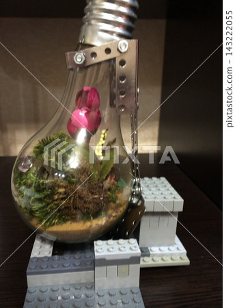 Miniature terrarium inside an upcycled light bulb with moss, soil and a small pink flower, mounted on a metal frame Miniature terrarium inside an upcycled light bulb with moss, soil and a small pink flower, mounted on a metal frame 143222055