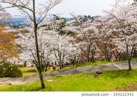 Springtime in Nihonmatsu City, Fukushima Prefecture: Kasumigajo Park (Nihonmatsu Castle Ruins), one of Japan's Top 100 Cherry Blossom Viewing Spots. Springtime in Nihonmatsu City, Fukushima Prefecture: Kasumigajo Park (Nihonmatsu Castle Ruins), one of Japan's Top 100 Cherry Blossom Viewing Spots. 143222341