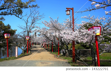 Jirakance cherry tree Jirakance cherry tree 143222701