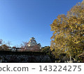 姬路城沐浴在十一月清爽的秋日陽光和美麗的秋葉之中。 143224275